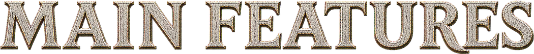 Main Features